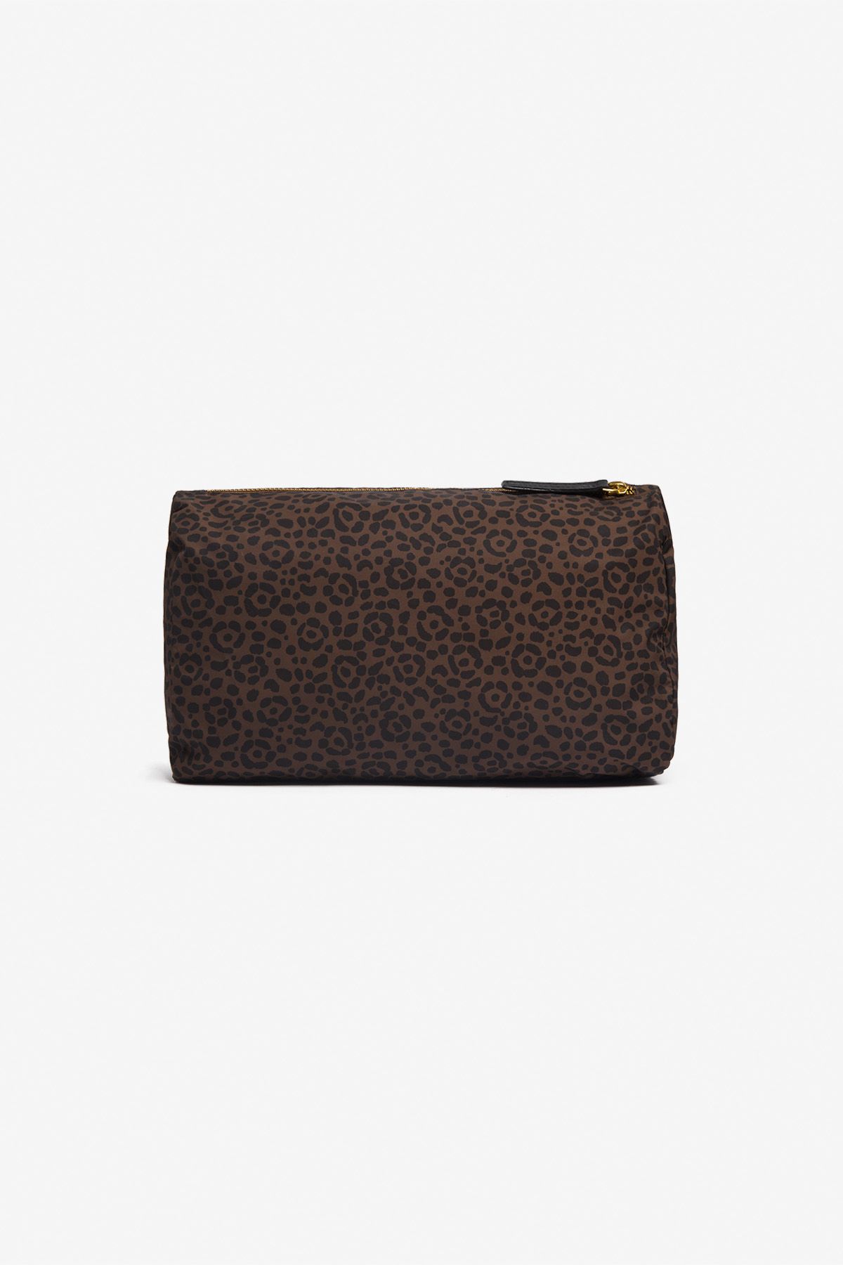 Case M - Felis - Brown