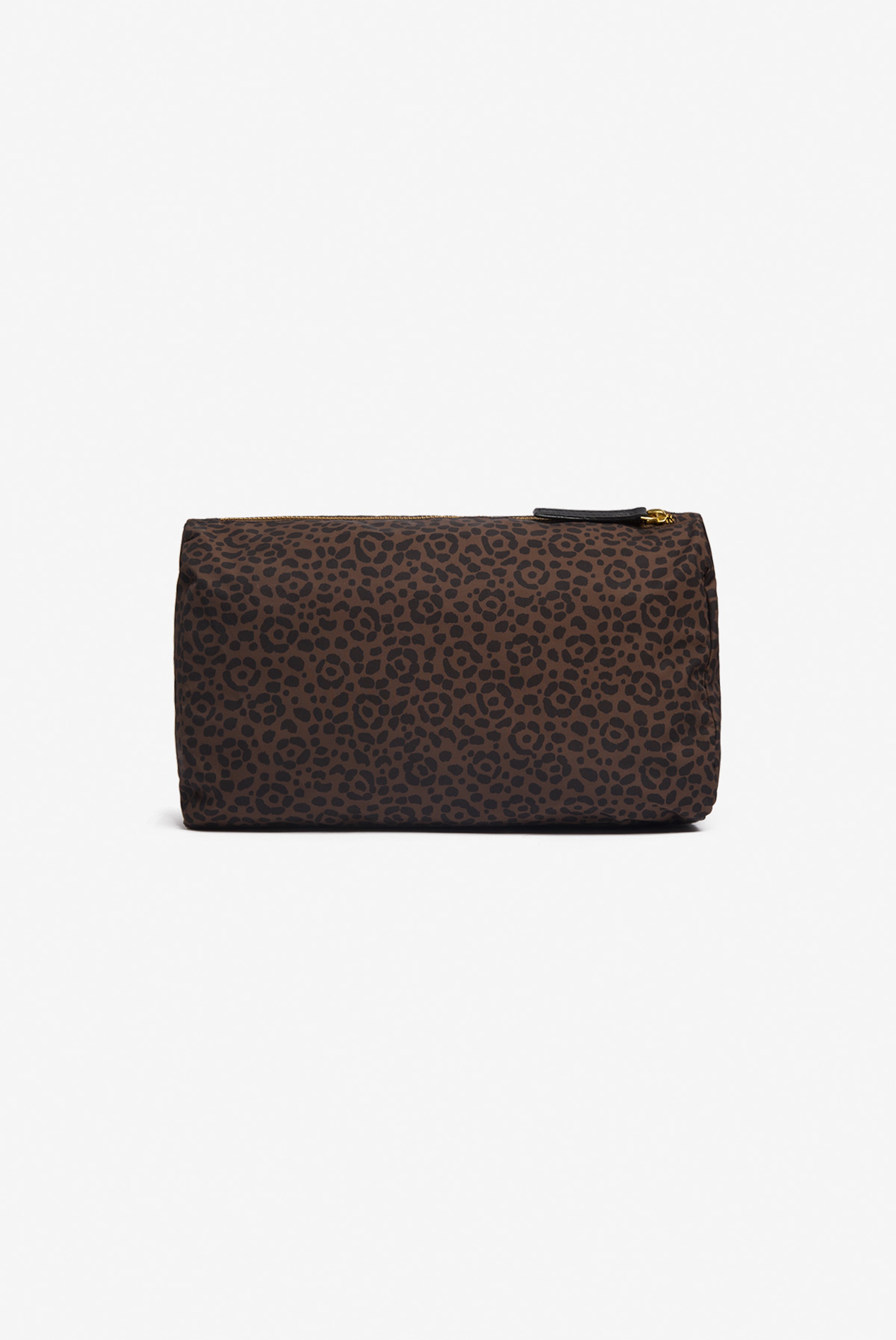 Case M - Felis - Brown