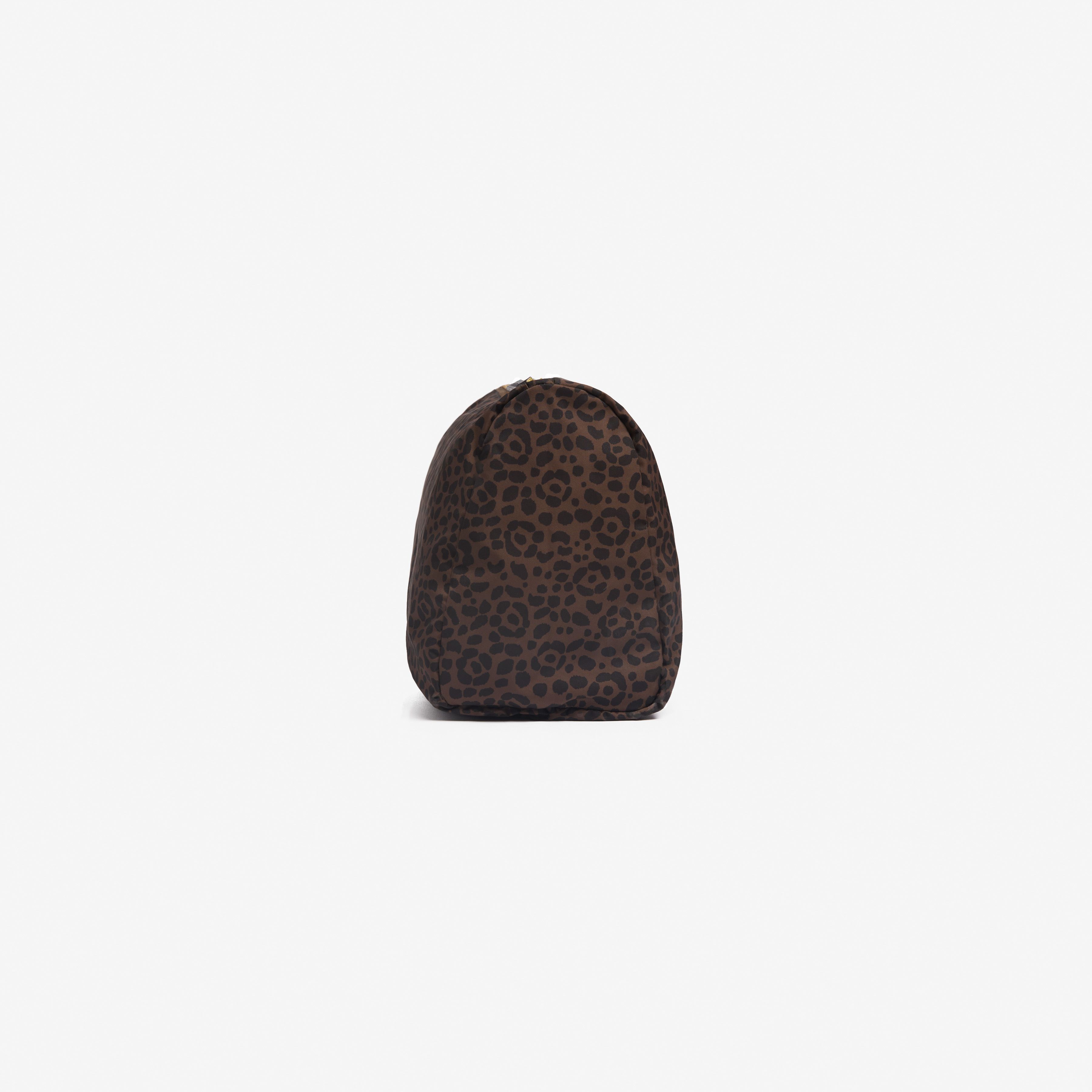 Case M - Felis - Brown
