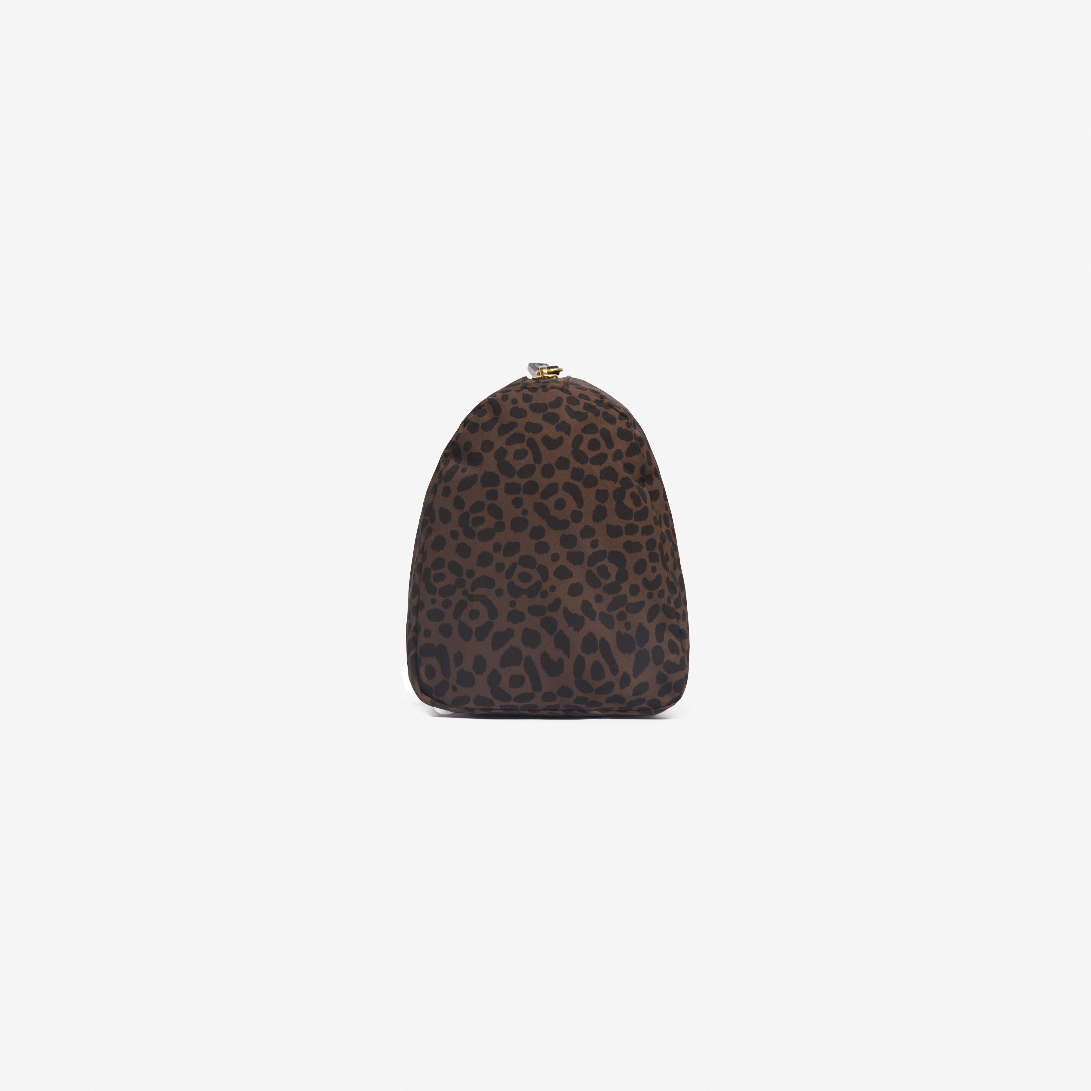 Case S - Felis - Brown