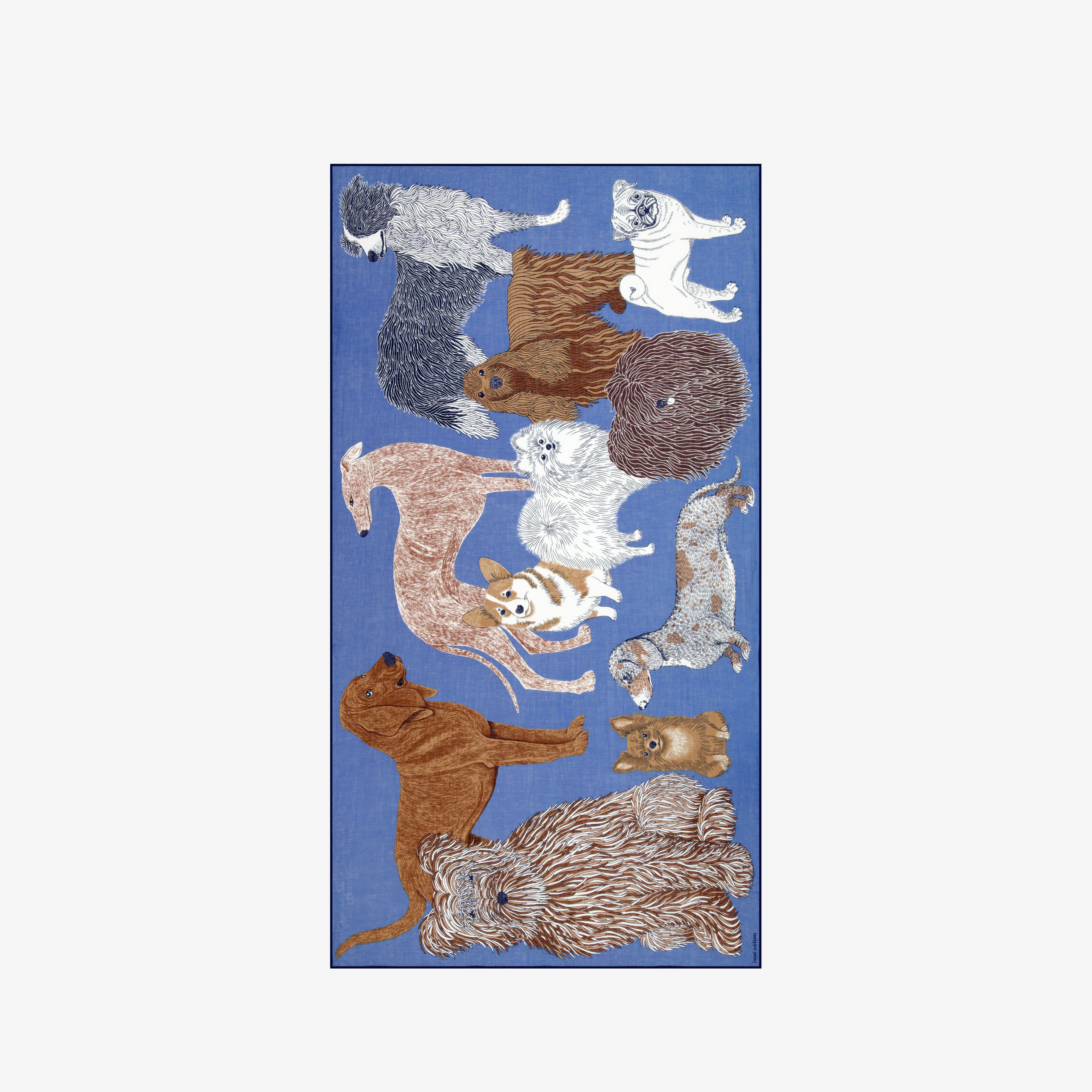 Scarf 100 Cotton - Toutou - Blue
