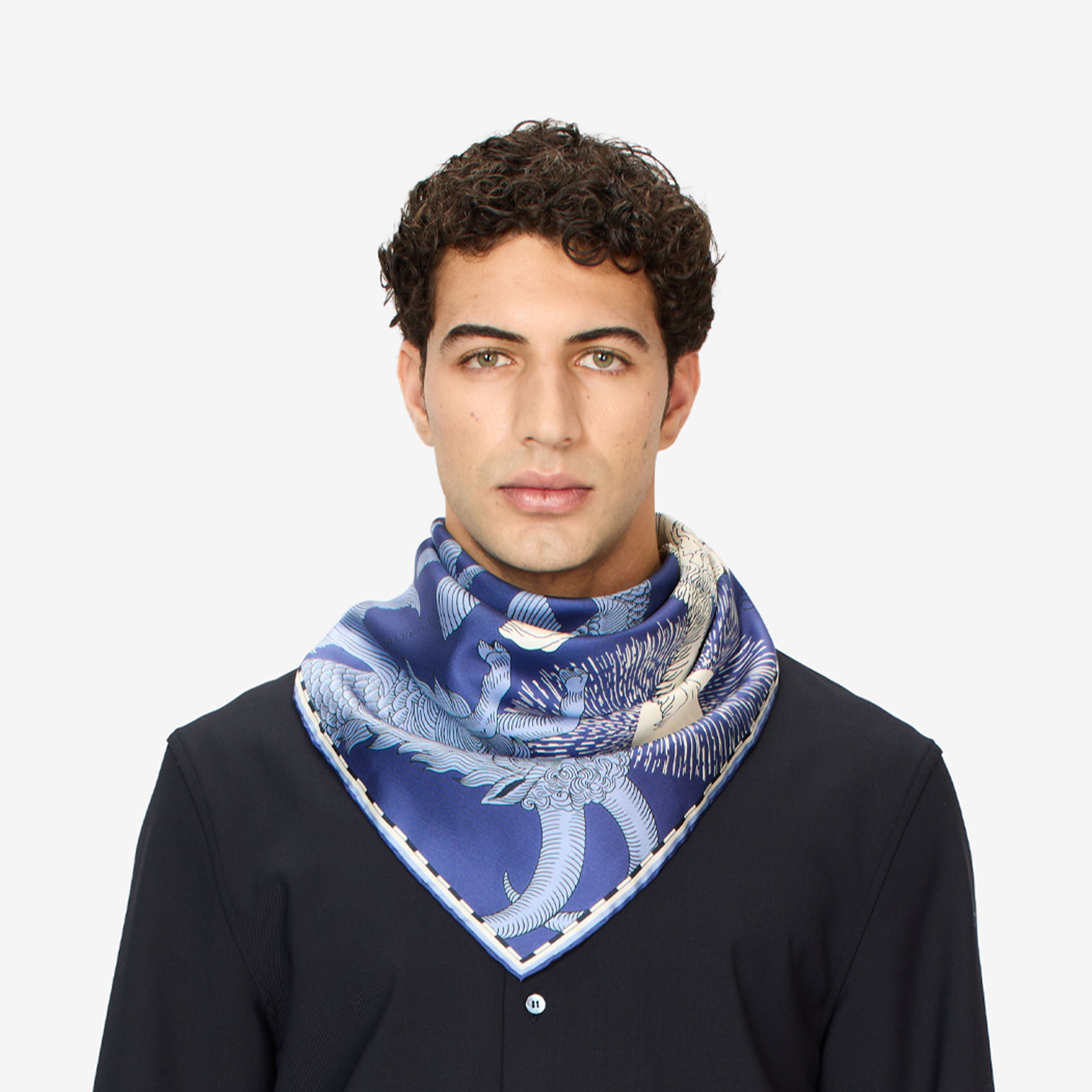 Square 65 - Astro Leo - Blue