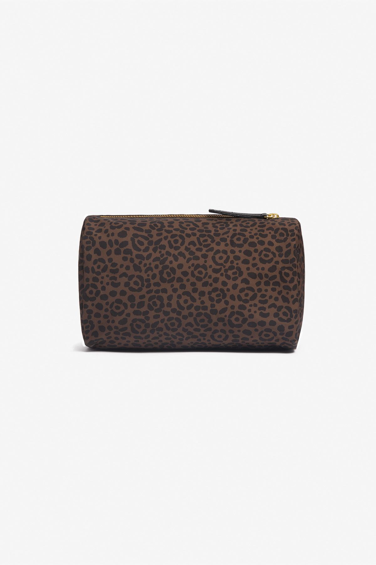 Case S - Felis - Brown