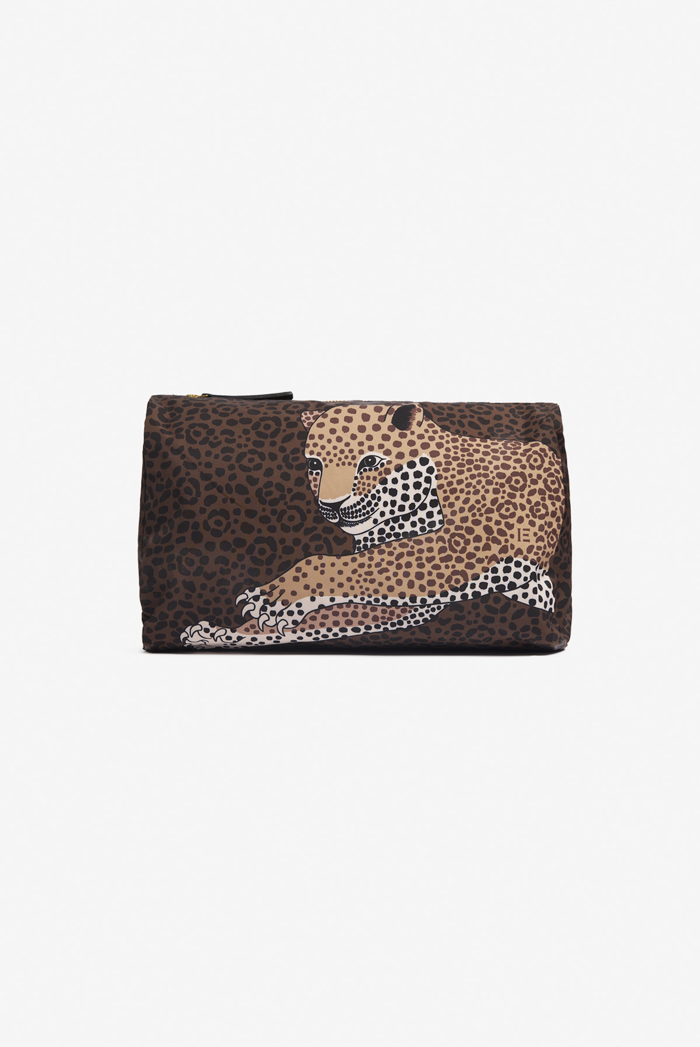 Case M - Felis - Brown