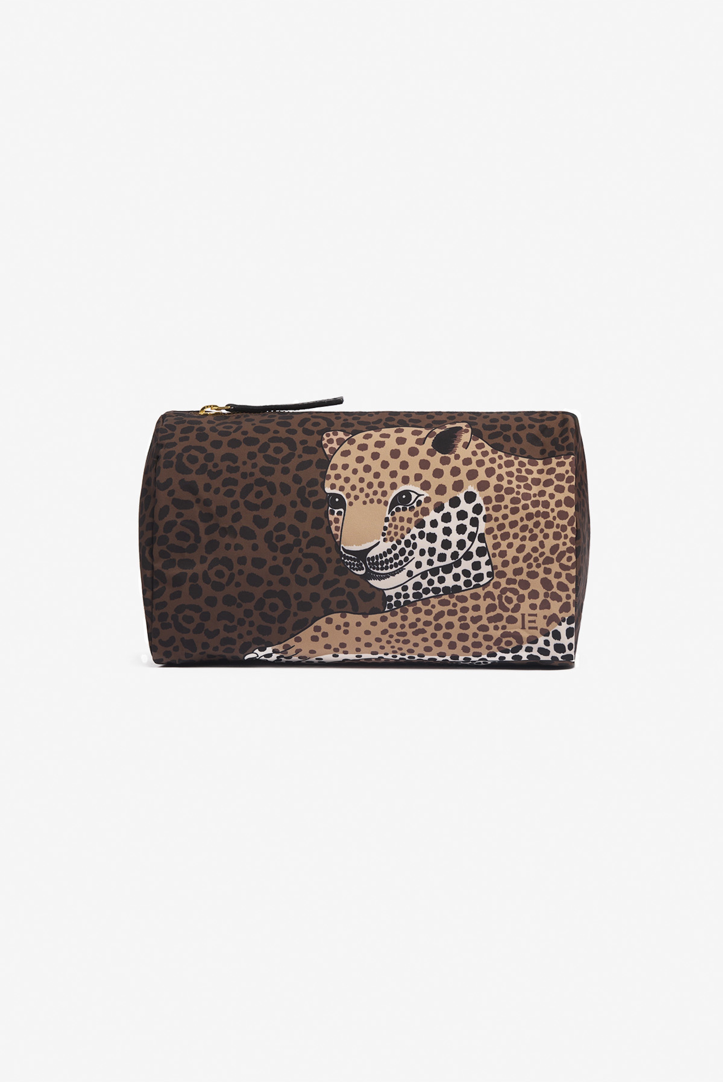 Case S - Felis - Brown