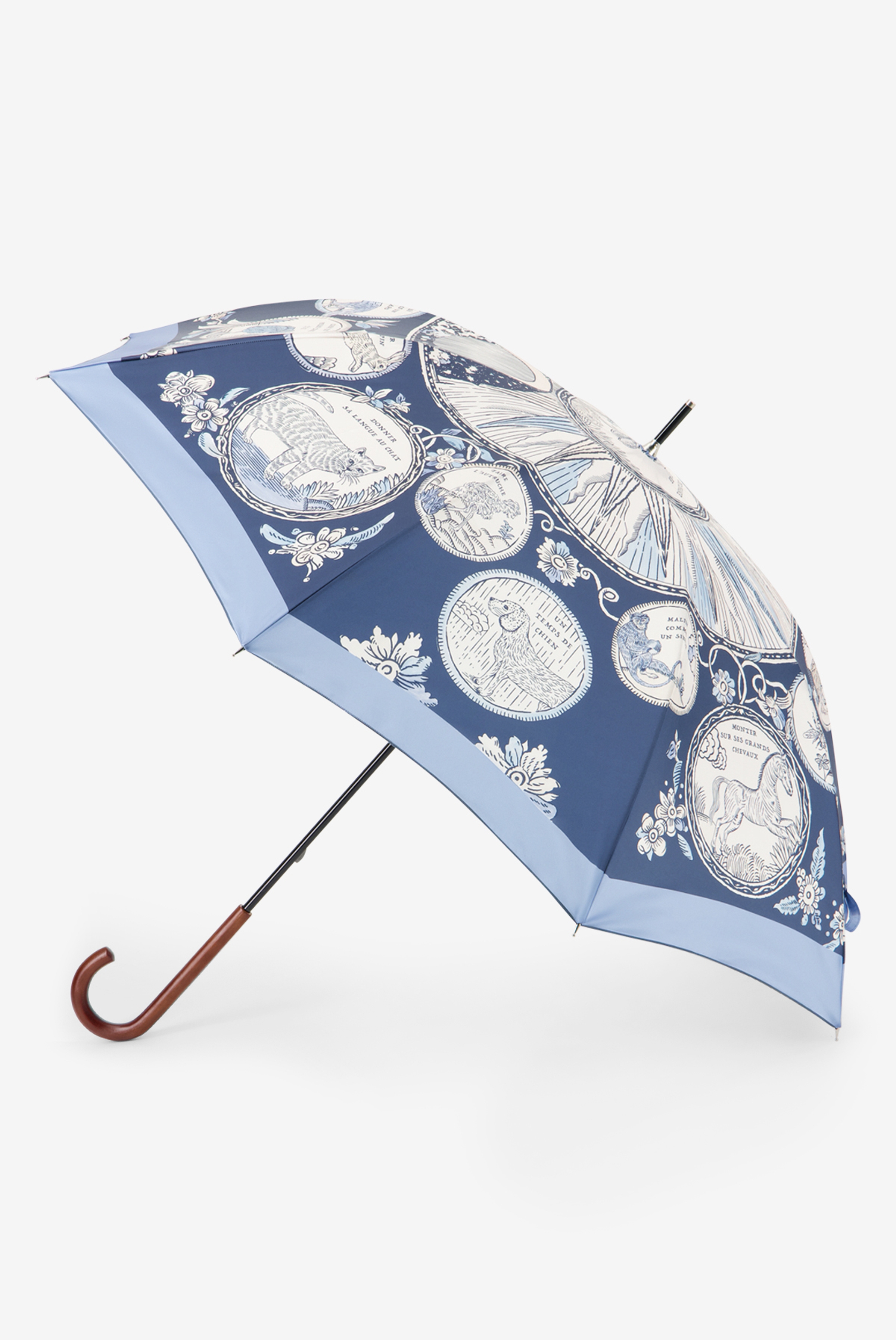 Umbrella - Chance - Blue / Aurora