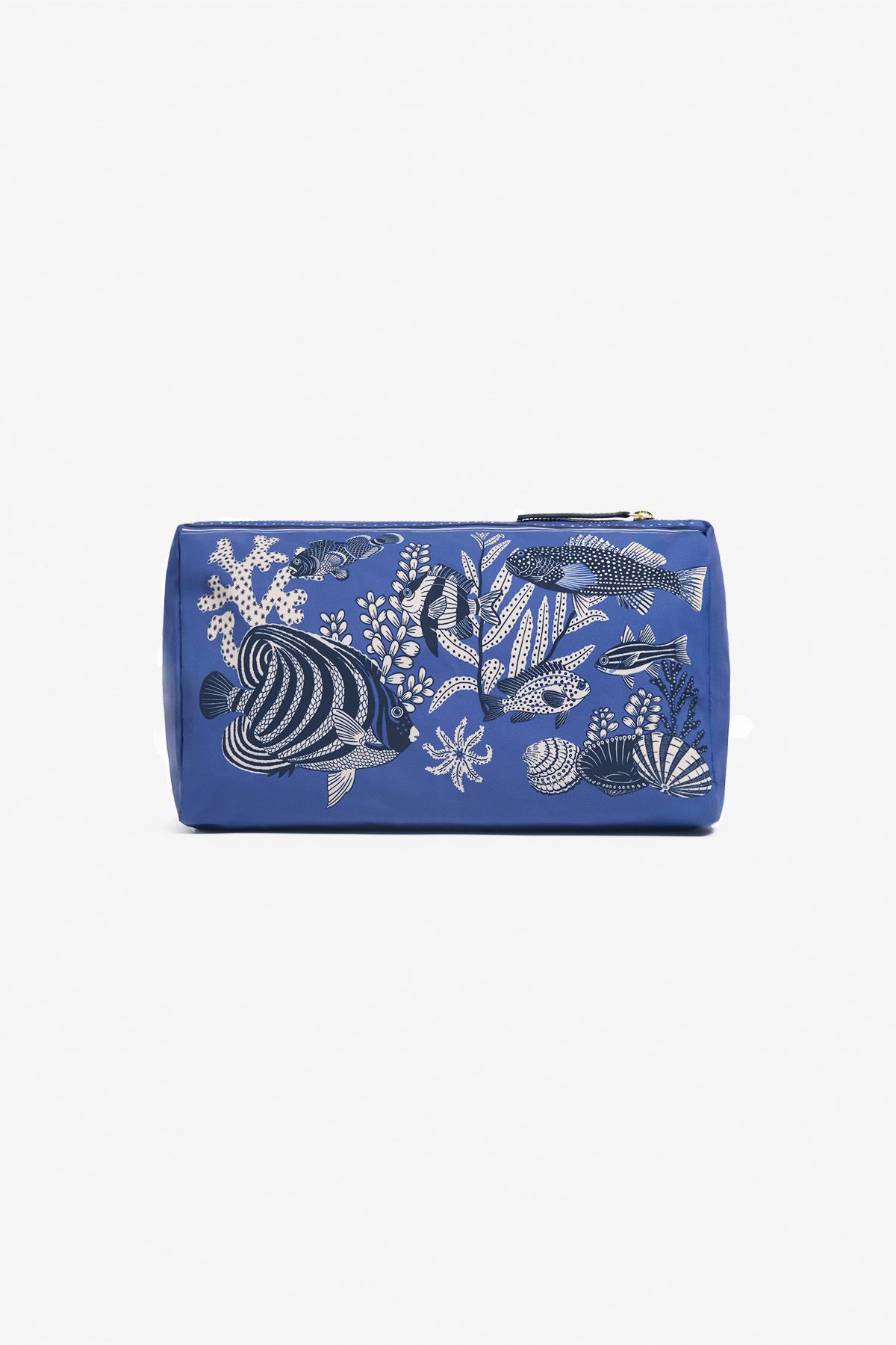 Case M - Neptune - Bleu