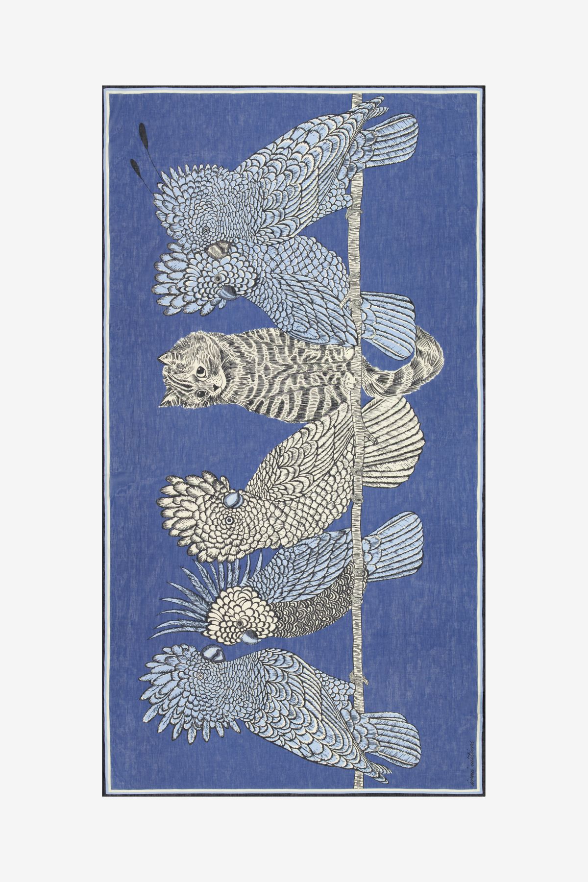 Scarf 100 - Caracat - Blue