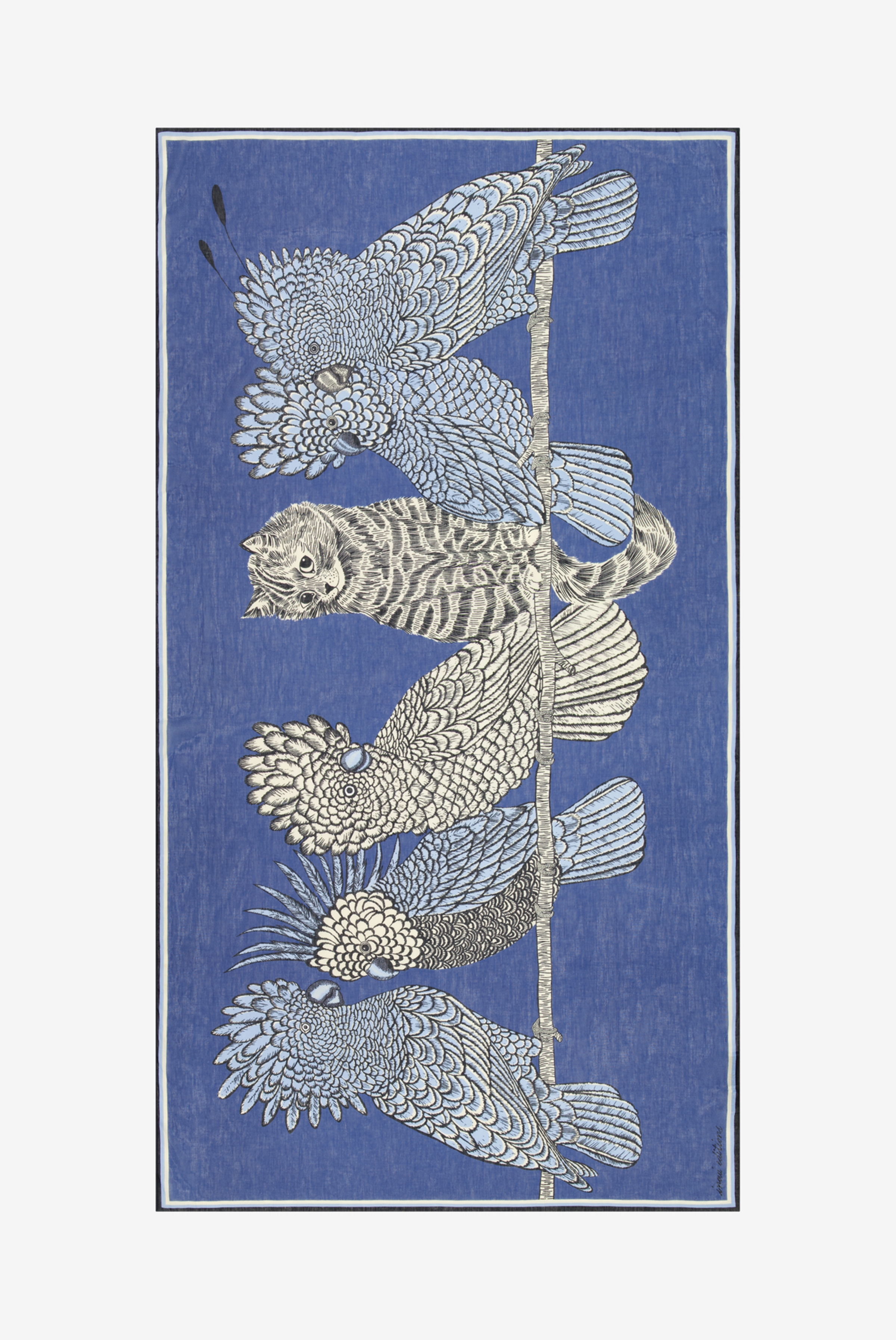 Scarf 100 - Caracat - Blue